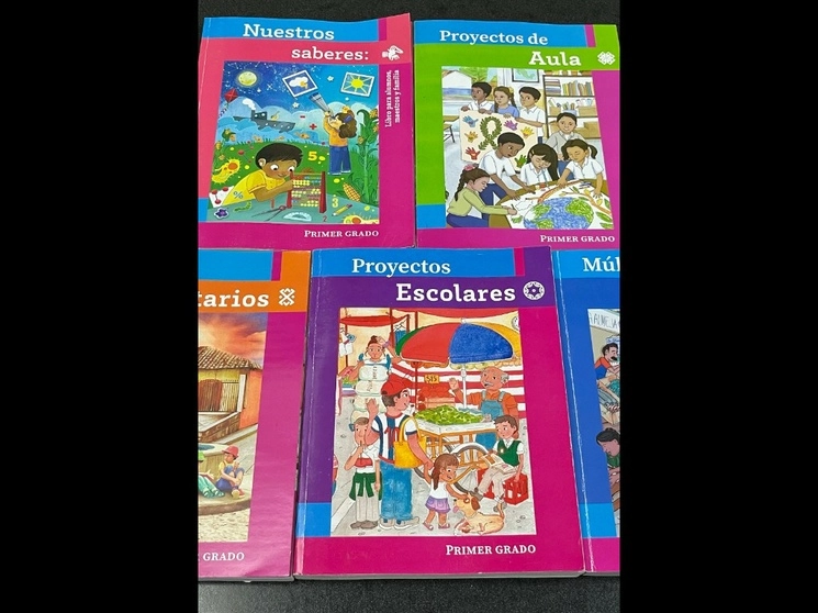 Portadas de los nuevos libros de texto gratuitos de primer grado. A dos semanas del inicio del ciclo escolar 2023-2024, la Secretaría de Educación Pública divulgó ayer en el ‘Diario Oficial’ de la Federación el Plan de Estudios para Educación Prescolar, Primaria y Secundaria, así como los programas sintéticos que se impartirán a 24.4 millones de niños y adolescentes en todo el país. Foto ‘La Jornada’