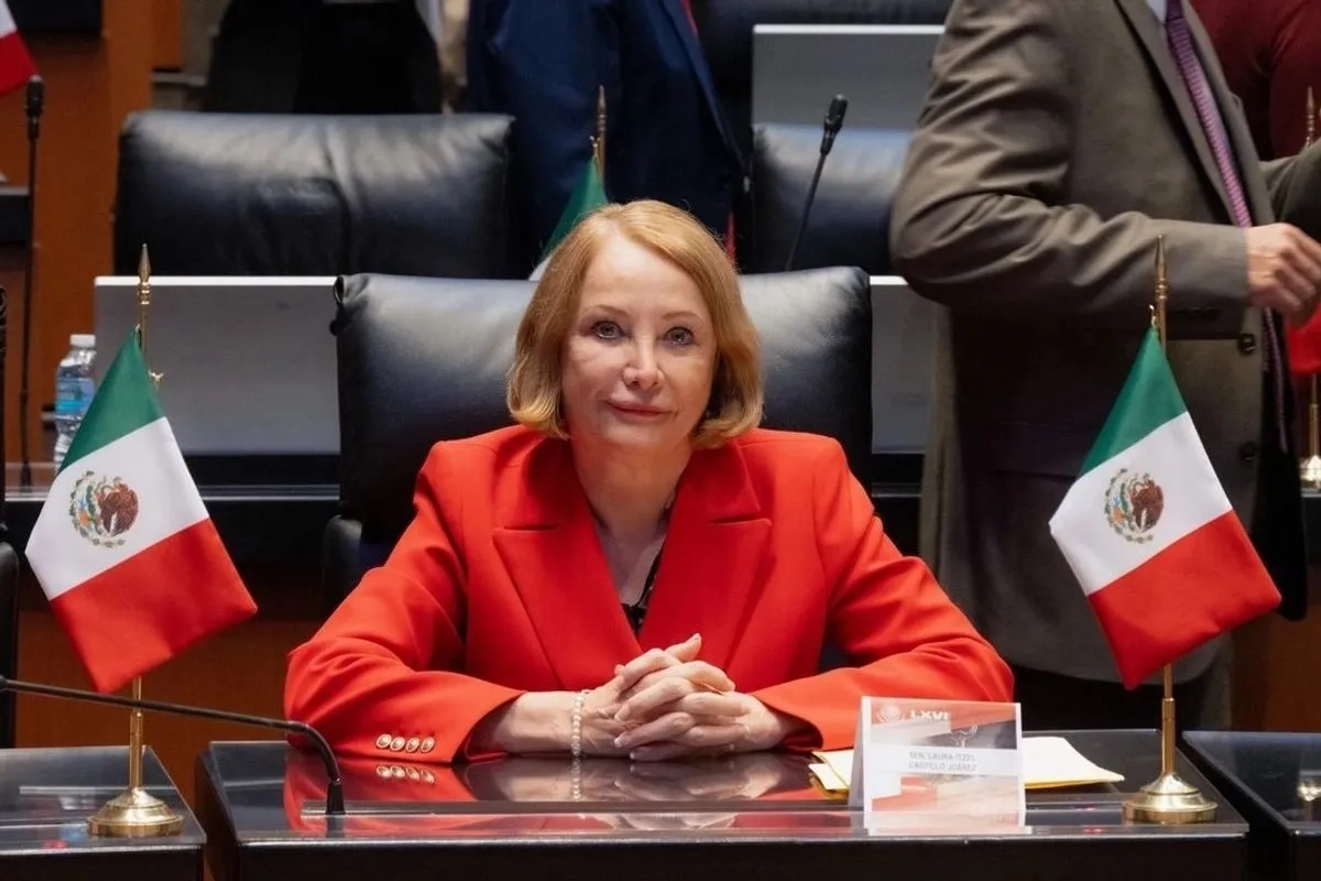 La senadora Laura Itzel Castillo, en imagen de archivo. Foto