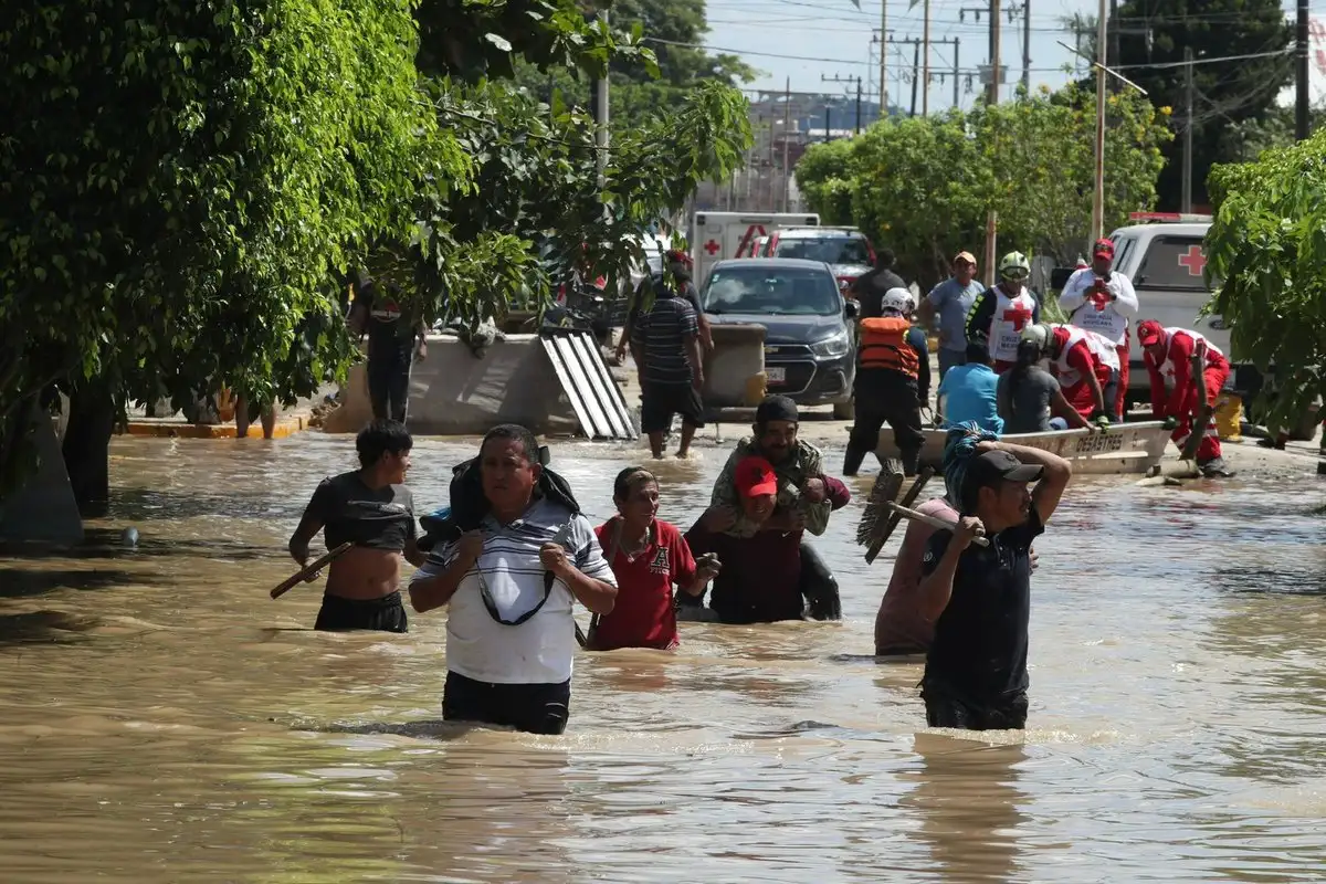 Imagen