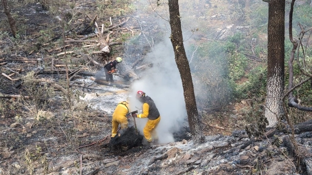 Un total de 120 brigadistas trabajaron para apagar el incendio forestal que afectó 85 hectáreas de vegetación en la sierra del municipio de Iturbide, Nuevo León. Foto cortesía Protección Civil estatal