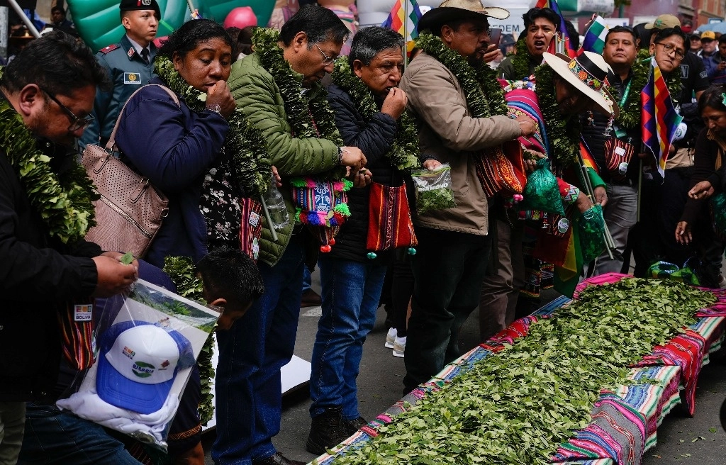 El presidente de Bolivia, Luis Arce, y el vicepresidente David Choquehuanca, mastican hojas de coca durante el Día Nacional de Mascar Hoja de Coca en La Paz, Bolivia, el sábado 11 de enero de 2025. Foto Ap