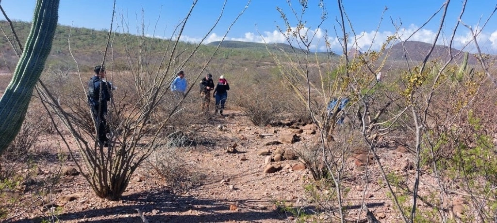 Las autoridades correspondientes se hicieron presentes para asegurar el área y realizar los procedimientos forenses necesarios para la identificación de los cuerpos. Las investigaciones continúan para determinar las circunstancias de las desapariciones y el posible vínculo con actividades del crimen organizado en la zona. Foto Cristina Gómez Lima 