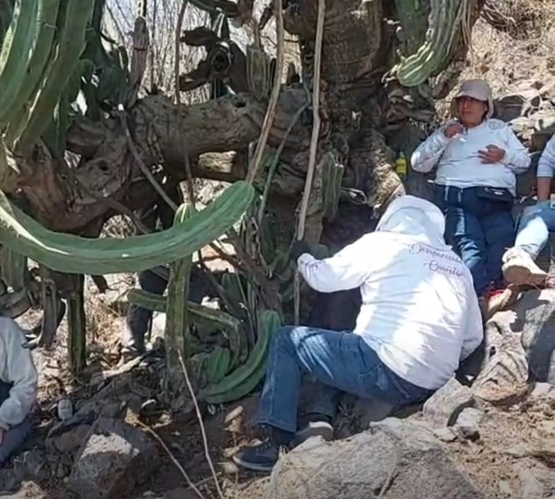 El colectivo Desaparecidos Querétaro localizaron restos  humanos semienterrados bajo  un cactus e la colonia Sergio Villaseñor de la capital queretana. Foto 