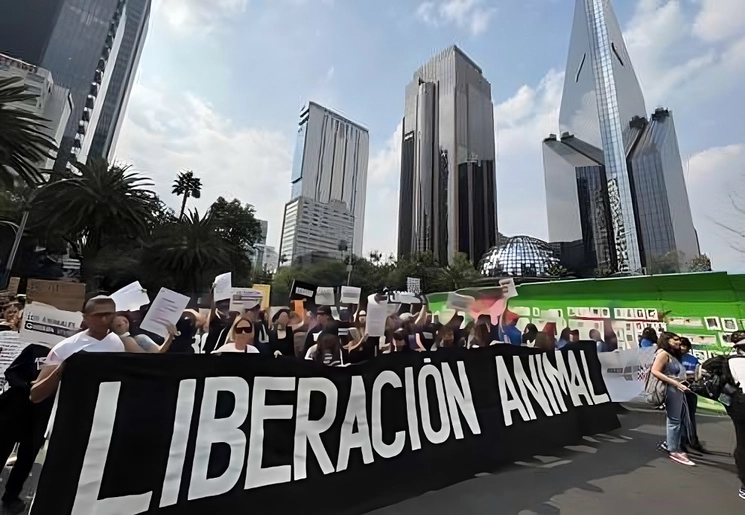 Activistas antiespecistas, durante una marcha en la Ciudad de México. Foto María Luisa Severiano / Archivo 
