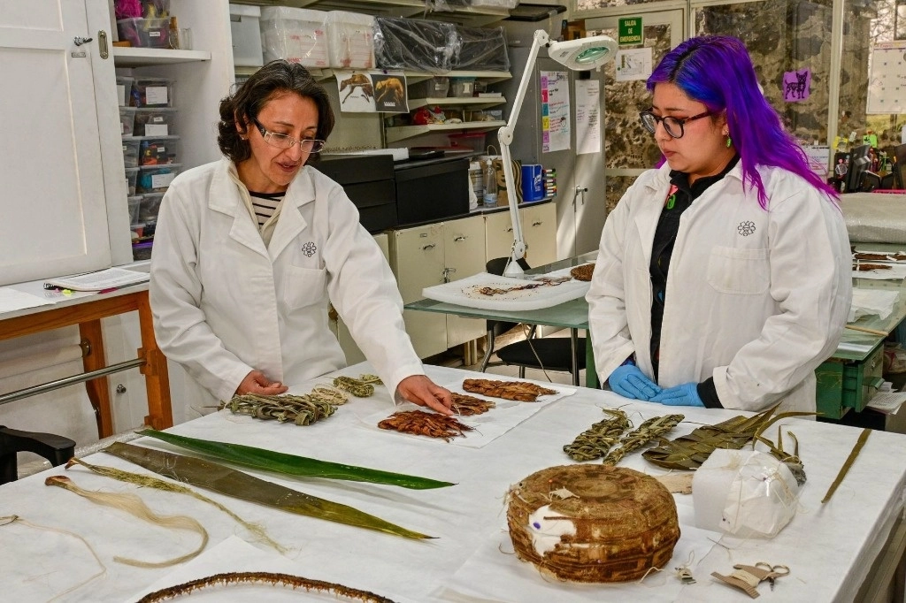 Actualmente persiste una mayor exclusión de mujeres en el mercado laboral. En imagen de arhcivo, dos investigadoras del INAH. Foto Cuartoscuro