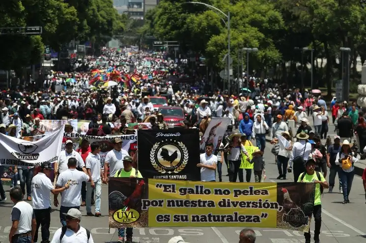 Al grito de "somos galleros, no delincuentes" los manifestantes avanzaron rumbo al Zócalo capitalino. Foto Alfredo Domínguez.