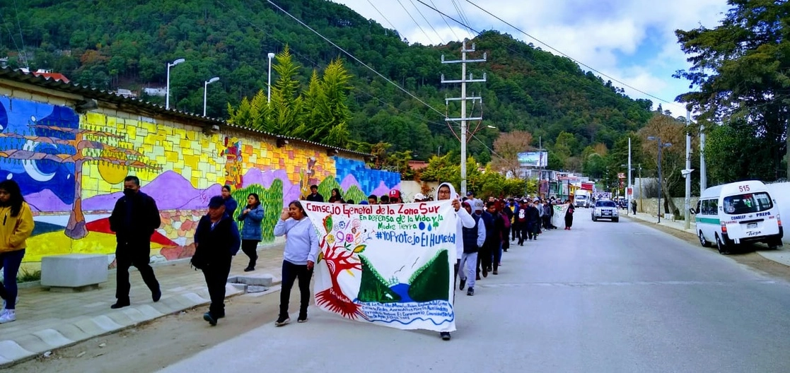Buscamos que la agroecología sea el elemento de unidad para la defensa de los humedales, así como la soberanía alimentaria mediante la creación de huertos, composta, gallineros, campañas de limpieza, aseveró el ambientalista Nicolás Gómez Velasco. Foto 'La Jornada' 