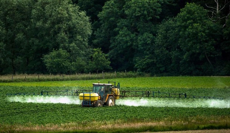 Aplicación de pesticidas en una explotación agrícola, en imagen de archivo. Foto Afp 