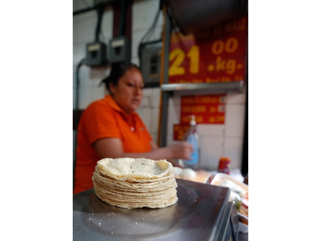 El alimento básico de los mexicanos caerá en manos de las grandes comercializadoras que importan maíz transgénico si el gobierno federal no garantiza la producción de al menos 2 millones de toneladas del grano, advierten tortilleros. Foto Cristina Rodríguez