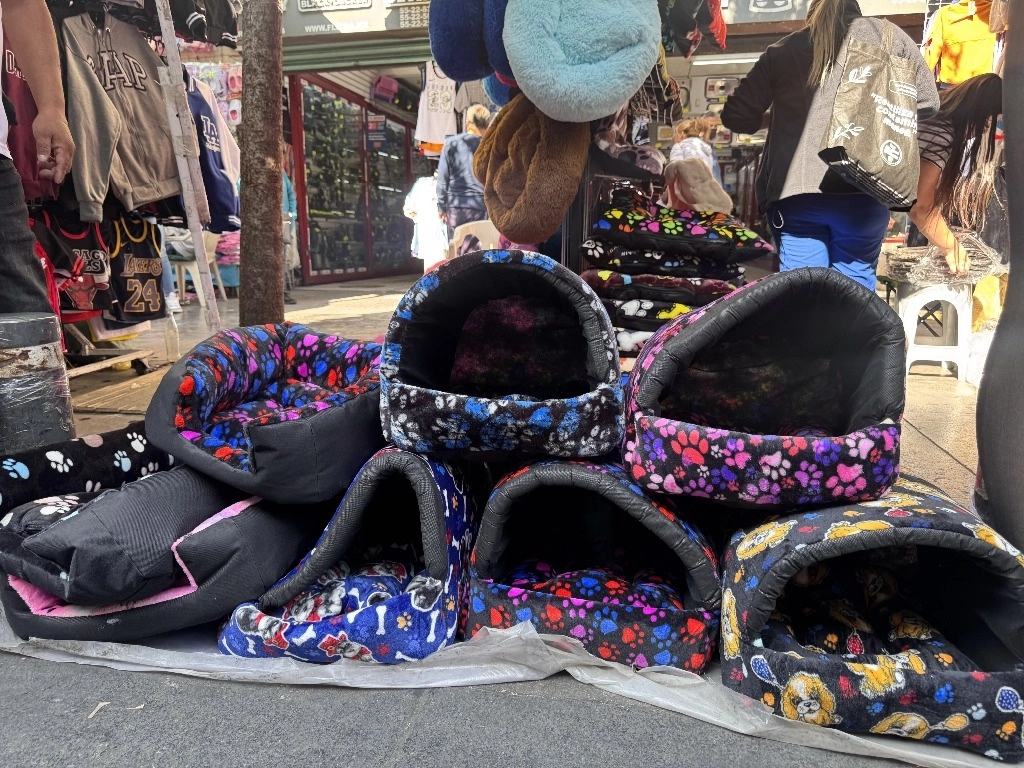 Cada vez es más común encontrar empresas que se dedican a brindar servicio a dueños de animales de compañía. Foto Yazmín Ortega Cortés