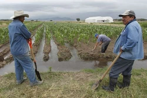 Organizaciones denunciaron que su uso impactaría en el acceso a los derechos a la salud y a un medio ambiente sano. Foto Yazmín Ortega / Archivo