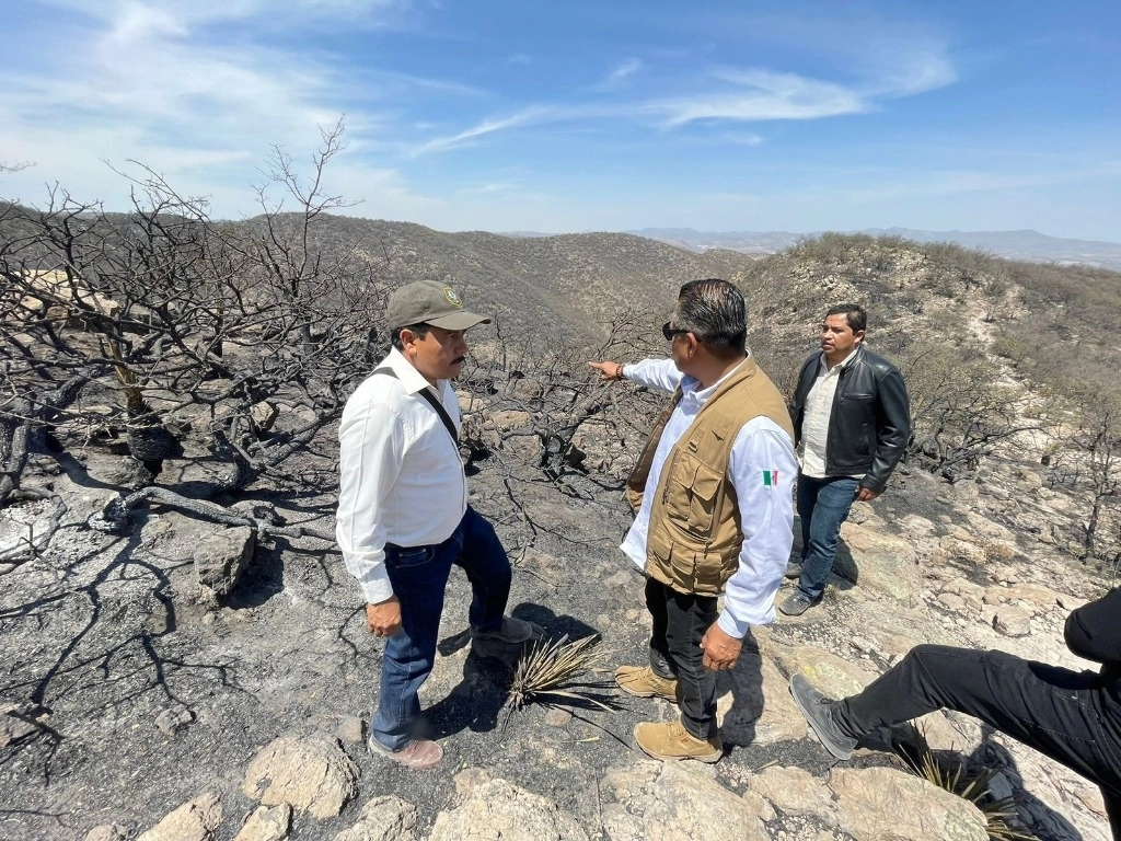 El fenómeno de la sequía lleva más de un año en San Luis Potosí, condición que ha provocado serias afectaciones no solo a la agricultura, también al abastecimiento de agua para consumo humano en diferentes comunidades de la entidad. Foto ‘La Jornada’