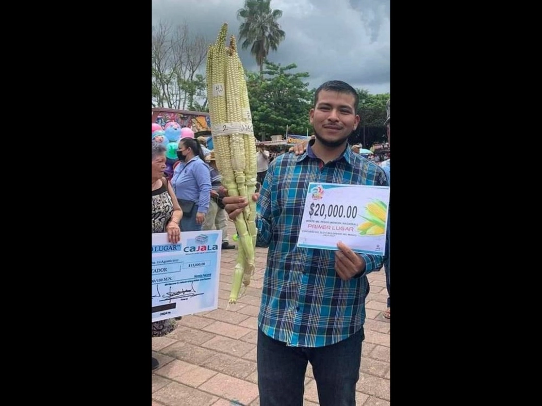 José Manuel Gómez Rodríguez, agricultor de Jomulco, ganó el primer lugar con una mazorca con grano de 43 centímetros en el concurso anual del elote más grande del mundo que se realiza en Jala, Nayarit.  Foto Luis Martín Sánchez