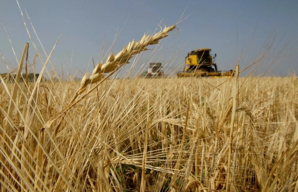 Argumentaron que no todos los precios de los alimentos básicos bajarán. Foto Ap / Archivo