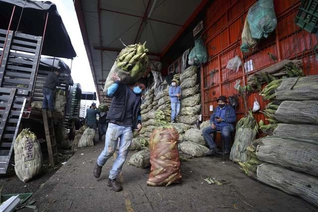En Colombia, un hombre carga maíz en el mercado Corabastos, uno de los más grandes centros de abasto de alimentos en América Latina. Foto Ap