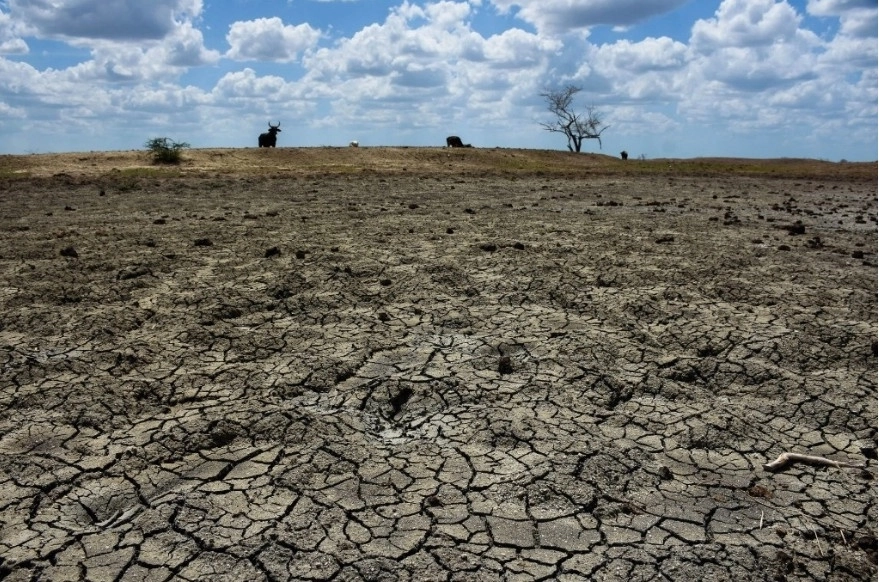 De aquellas unidades de producción agropecuaria activas en México, que presentaron problemas por algún factor climático o biológico, 72.2 por ciento tuvo un siniestro climático debido a las sequías y 12.8 por ciento por inundaciones. Foto Cuartoscuro / Archivo