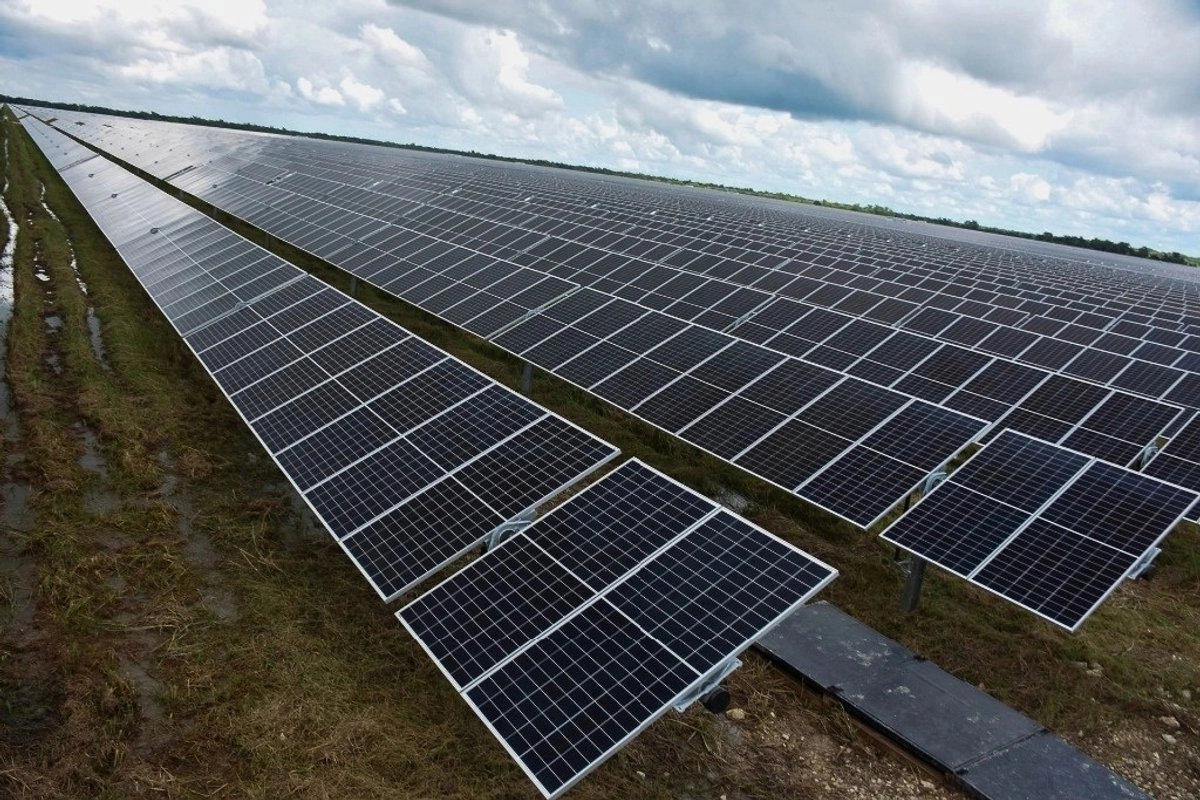 Paneles solares en Canem, Campeche; el ex comisionado de la desaparecida CRE, Guillermo García Alcocer, aseguró que la transición energética no avanza por falta de fondeo y por falta de acuerdos entre los países. Foto 
