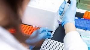 México formalizará la presentación de cuatro proyectos de investigación para el desarrollo de vacunas contra Covid-10 en respuesta a la convocatoria de la Coalición para las Innovaciones en Preparación de Pandemias (CEPI por sus siglas en inglés), con la finalidad de  obtener financiamiento para los mismos. Foto tomada del sitio http://www.unamglobal.unam.mx/?p=84159