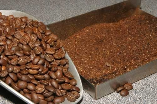 Producción de café en Chiapas. Foto Notimex / Archivo