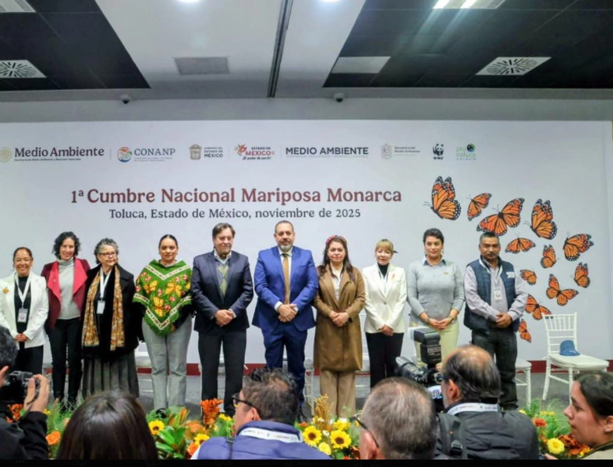 México hará un llamado enérgico y colaborativo a EU para que actúe con responsabilidad en la conservación de la mariposa monarca, pues de seguir usando herbicidas y pesticidas que afectan a esta especie en su ruta migratoria. Foto