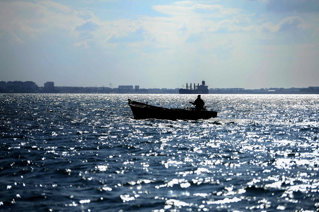 Se busca atender la problemática de pesca, tránsito y consumo ilegal de totoaba. Foto Afp/ archivo