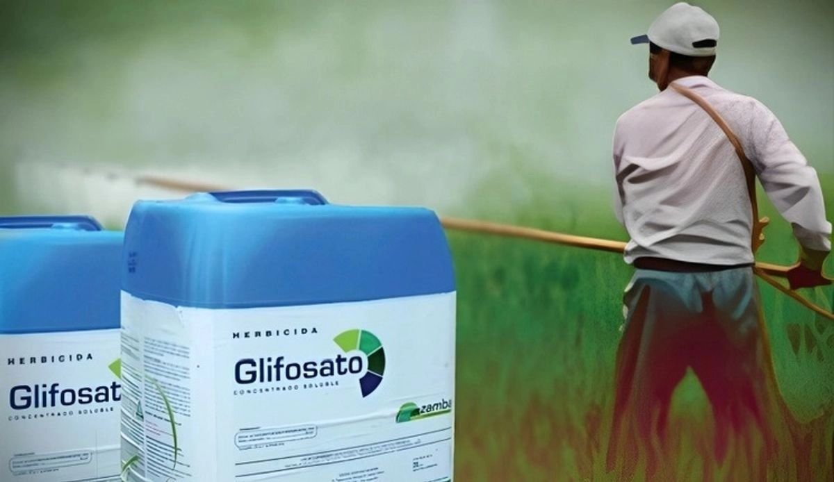 Un herbicida de Bayer está acusado de provocar cáncer en las zonas donde se utiliza, aunque hay estudios que confirman que no se le puede vincular de manera directa. Foto