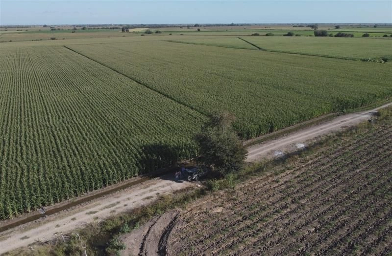 Más de un siglo después de la Revolución, el latifundismo en México sólo se ha transformado. En la imagen, campos agrícolas de Sinaloa. Foto 