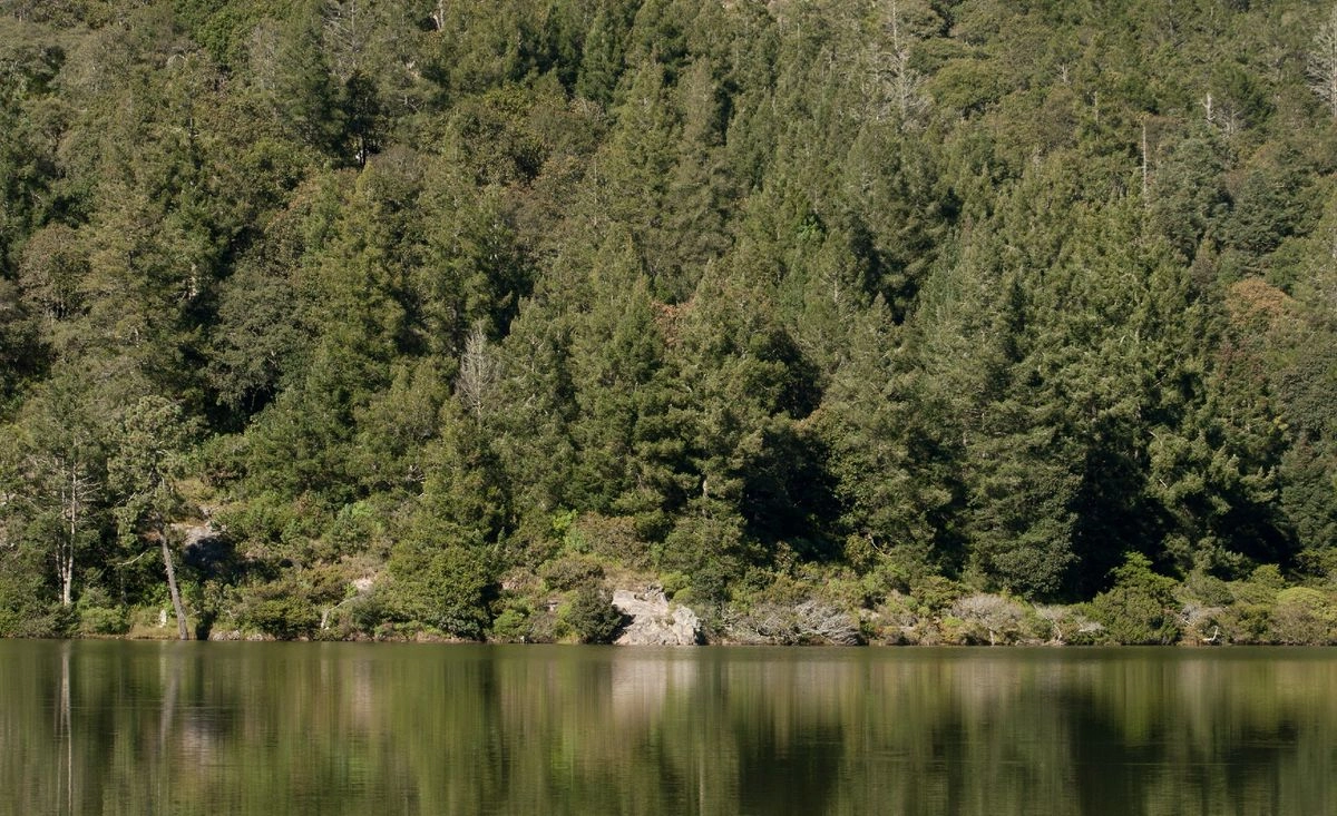 La reunión también será un espacio de diálogo en torno a la Agenda de Acción de la COP30, el proceso de actualización de las Contribuciones Determinadas a nivel nacional, y alternativas innovadoras para la movilización de financiamiento climático en un entorno global complejo.  