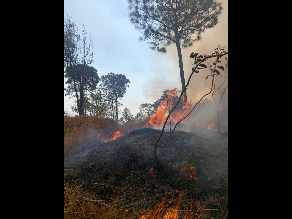 En lo que va del año se ha registrado más de 200 incendios forestales en todo el estado de Michoacán. Foto La Jornada