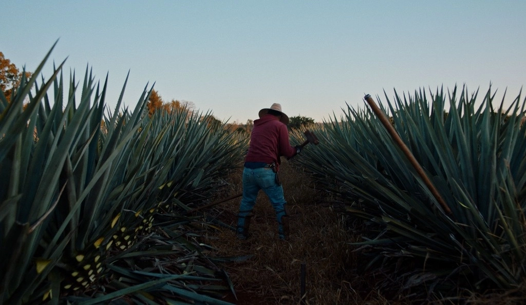 Fotograma de las cinta: ‘Dos estaciones’, del mexicano Juan Pablo González. Foto cortesía de la Cineteca 



