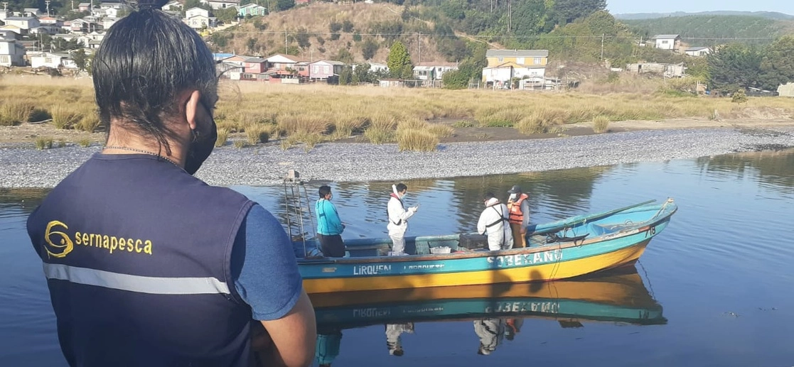 Elementos de Sernapesca realizan toma de muestras en una playa de la provincia de Arauco, en la región del Biobío, donde este lunes aparecieron muertos miles de peces. Foto tomada del Twitter @sernapesca 