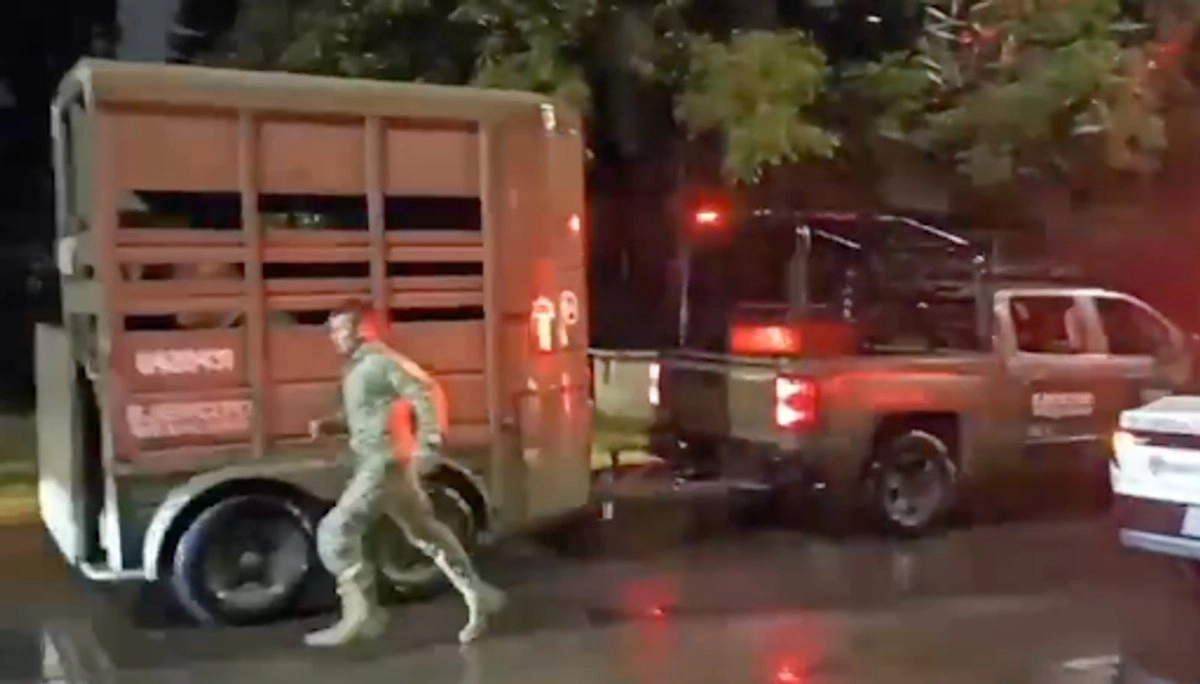 Los efectivos del Ejército mexicano durante el traslado de un equino. Fotograma tomado de video publicado en 