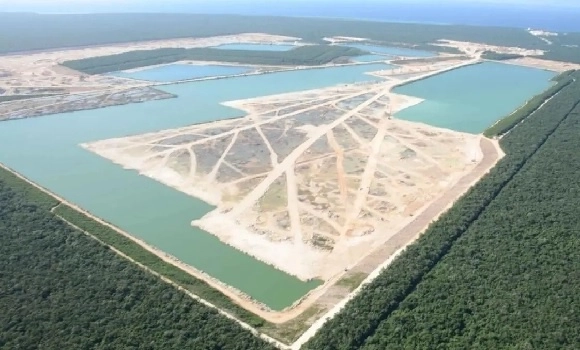 Desde la instalación de la mina de piedra caliza de la estadunidense Calica, en 1985, 926 hectáreas de selva y manglar en Playa del Carmen, Quintana Roo, han sido devastadas. Foto ‘La Jornada’