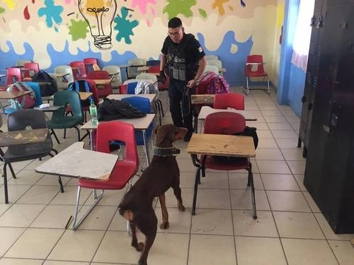 En el extremo de la criminalización de menores, algunas escuelas contrataron vigilancia privada con binomios caninos. Foto Notimex
