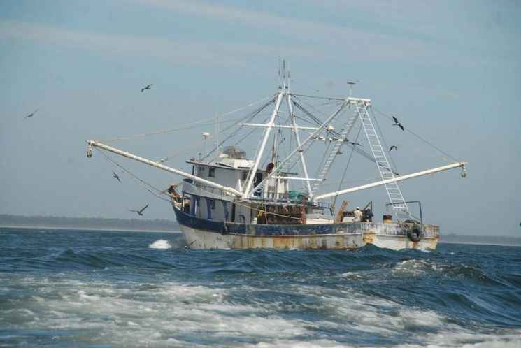 La Sader, a través de la Conapesca, modificó, por segunda ocasión, el acuerdo en el que se establecen las épocas y zonas de veda para la captura de todas las especies de camarón en aguas marinas y sistemas lagunarios estuarinos de jurisdicción federal del Golfo de México y Mar Caribe para la temporada 2020. Foto Cuartoscuro / Archivo