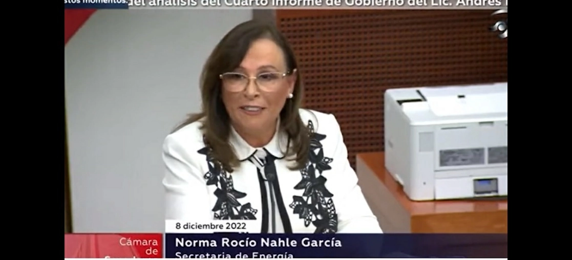 Rocío Nahle en imagen tomada del canal del Congreso.