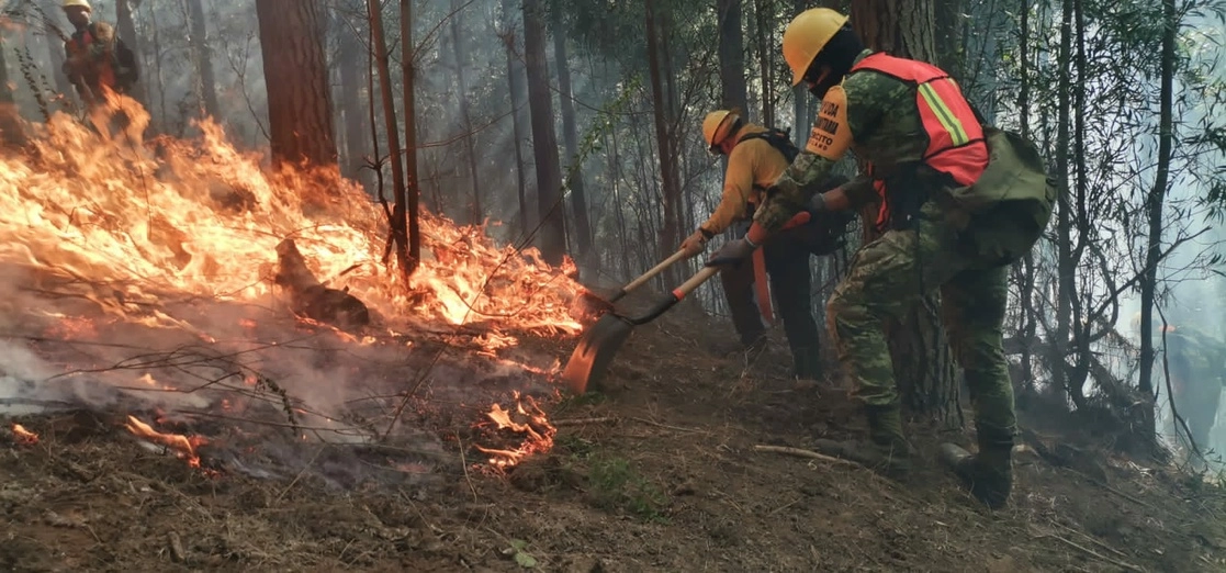 Personal mexicano apoyando en el control de incendios de Chile, el pasado 14 de febrero. Foto Conafor
