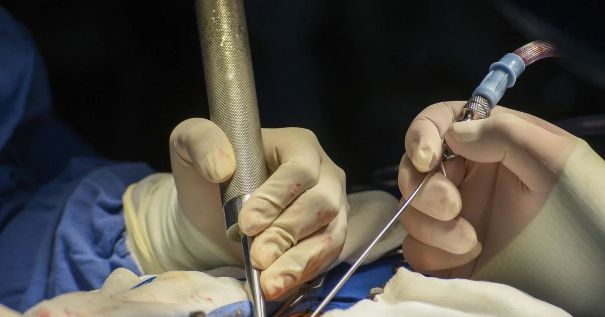 La Jornada - Muere mujer durante cirugía de lipoescultura en Delicias,  Chihuahua