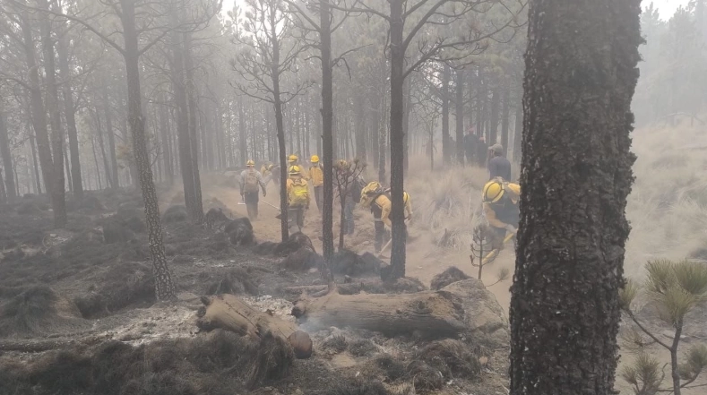 Elementos de Protección Civil combaten un incendio en en la Sierra de Puruagua, del municipio de Jerécuaro.