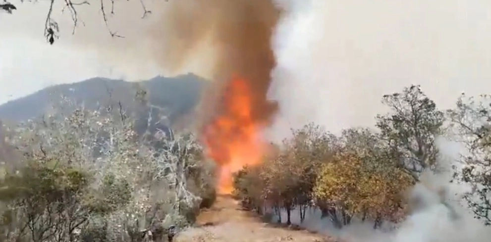 Cinco bomberos murieron durante el combate al incendio en el municipio de San Lucas Quiavini, en Oaxcaca. Foto Tomada de redes sociales 