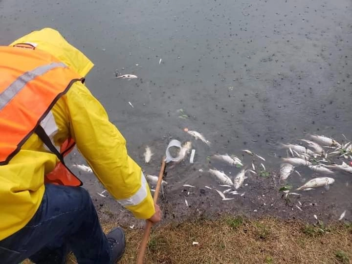 Aspectos a la orilla de la laguna. Foto tomada de Facebook