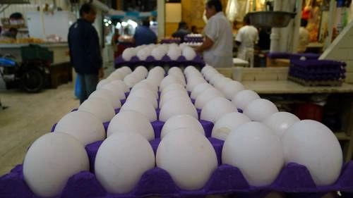 México es autosuficiente en maíz blanco, huevo, frijol y caña de azúcar, por lo que un aumento irregular en el precio de dichos productos será sancionado hasta con 3 mdp, anunció Profeco. Foto José Antonio López