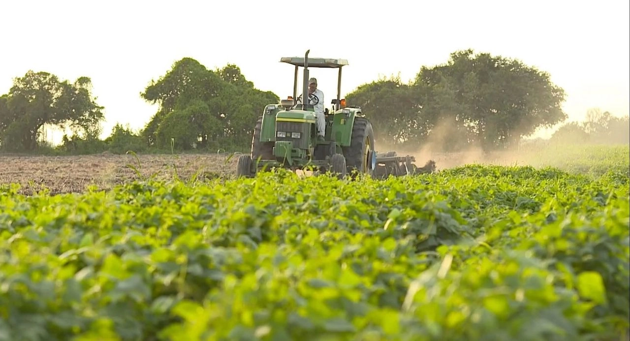 Productores del campo en Nayarit. Foto