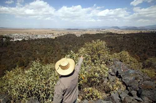 Fortalecer la vida comunitaria con atención en las decisiones grupales y poniendo especial énfasis en programas productivos integrales, permitirá una revaloración del conocimiento ancestral de las localidades. Foto Carlos Ramos Mamahua /Archivo 