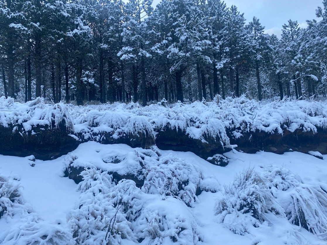 La primera nevada de la temporada invernal 2022 cubrió de blanco las faldas del Parque Nacional Cofre de Perote, en Veracruz. Visitantes de diversas regiones del estado acudieron a disfrutar de los paisajes y la acumulación de hielo, pese a temperaturas hasta de tres grados Celsius bajo cero que se registran a partir de 3 mil 600 metros de altura. En la Ciudad de México, ocho adultos y cuatro menores se extraviaron en la zona del Ajusco, donde hubo alta afluencia de personas atraídas por la caída de aguanieve. Autoridades informaron que se mantiene la alerta por la entrada hoy del frente frío 20. Foto Sergio Hernández Vega 