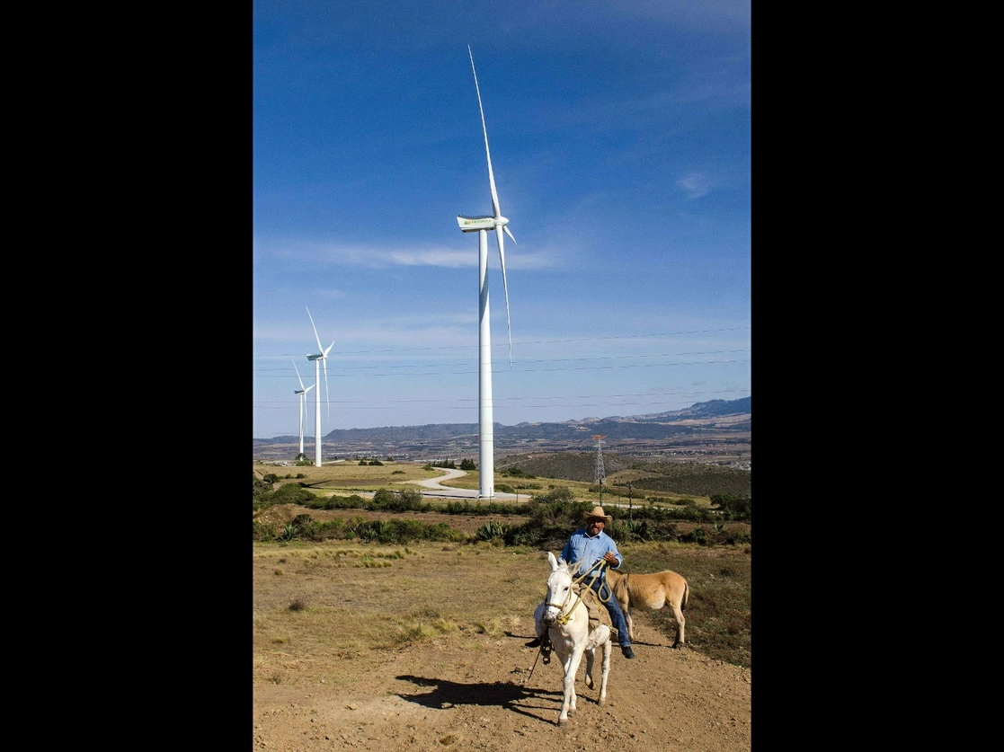 El Parque Eólico Pier II, que cuenta con 33 aerogeneradores fabricados en el país de la empresa Iberdrola México, el cual inaugurado el 25 de noviembre de 2015. Foto Cuartoscuro