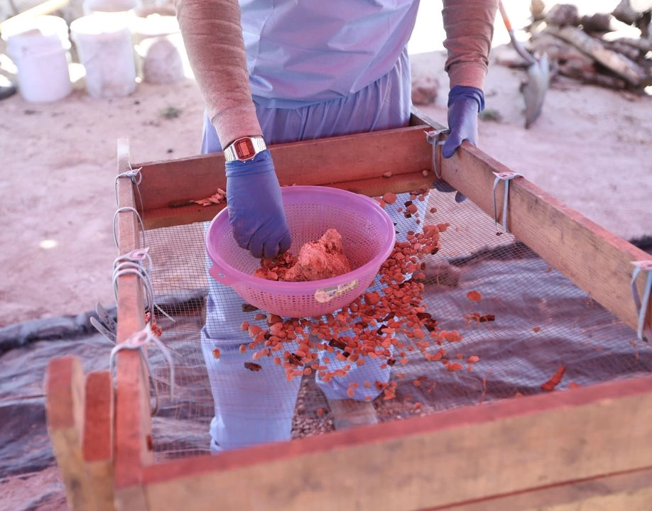 Un perito de la fiscalía de Jalisco separa restos óseos de material pétreo hallados en el presunto campo de adiestramiento en el rancho Izaguirre.
