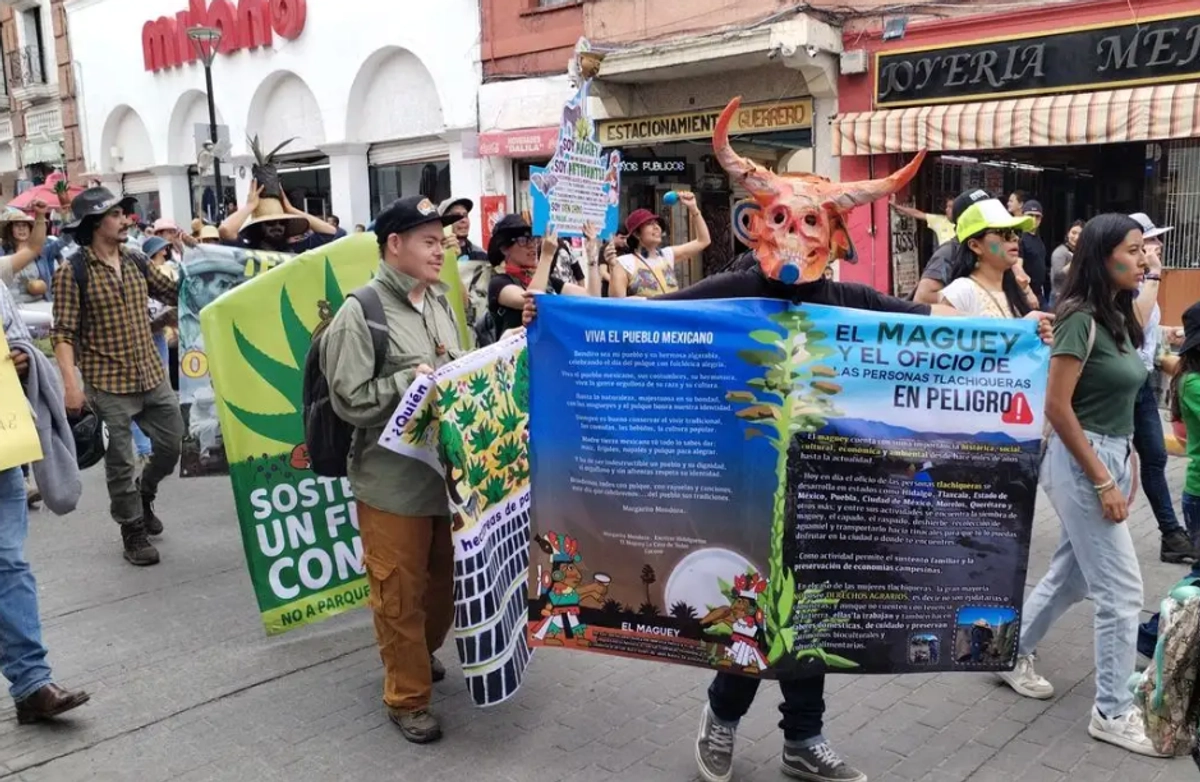 Los proyectos fotovoltaicos que se pretenden desarrollar en Epazoyucan y Singuilucan implican el arrendamiento o compra de extensas superficies ejidales, con cambios de uso de suelo de agrícola a industrial. Foto