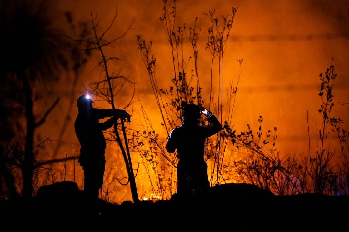 Incendio forestal en Lomas de Santamaría. Foto Secretaría de Medio Ambiente de Michoacán