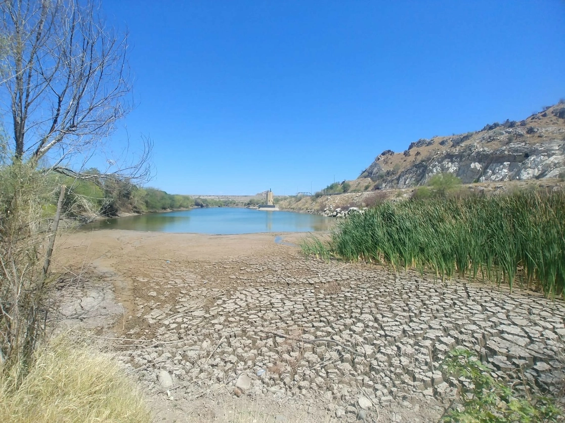 El humedal de La Sauceda, en el municipio de Hermosillo, Sonora, se ha quedado sin agua en años recientes debido a la sequía. Colectivos ambientalistas han organizado varias campañas para abastecerlo y reactivar la zona, que era visitada por familias. Foto Cristina Gómez Lima